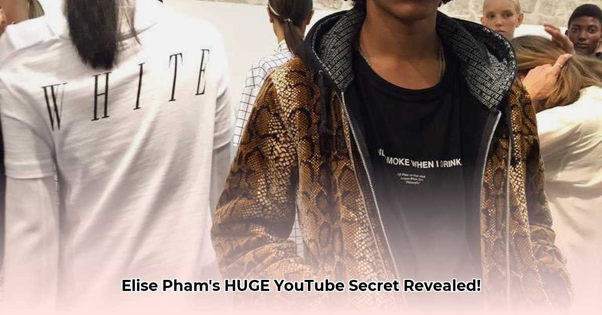 elise-pham-net-worth